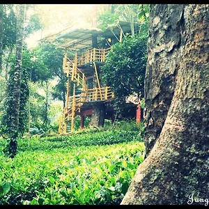 Bed & Breakfast Jungle Jive Tree House, Munnar